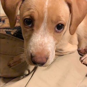 Meet your Posher, Montavius